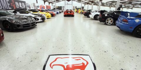 World's Largest Viper Collection video