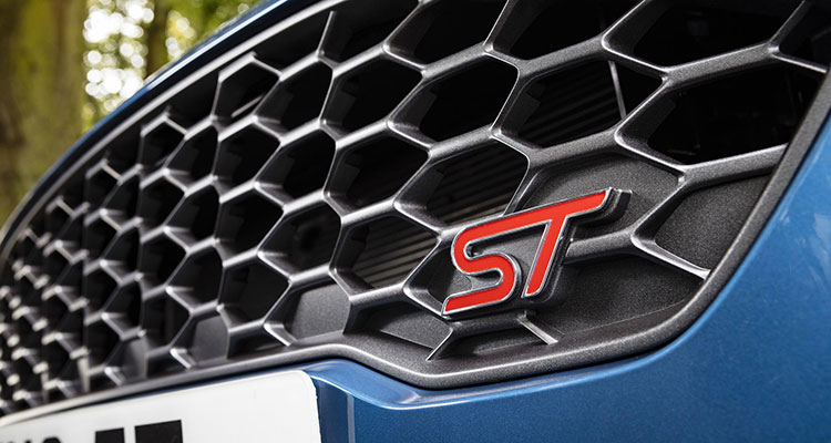 Ford Fiesta ST fake grill 1
